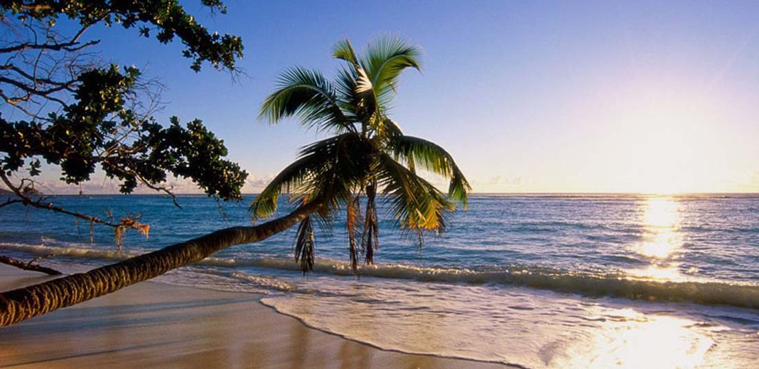 ساحل میرمهنا